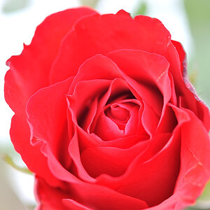 Valentinstag