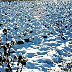 Winter 2010   03