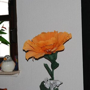 DSC 0447n