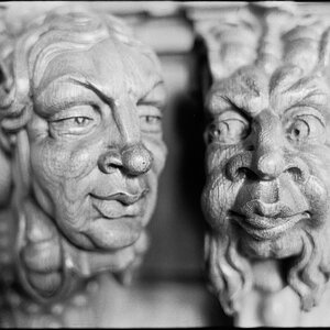 Neg2010 237