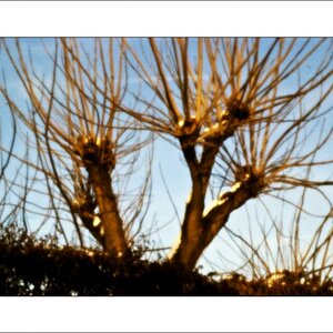 DSCF0868 WEB