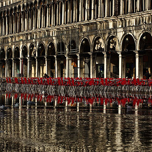 Venedig 76 3
