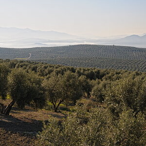 Morgen in Andalusien