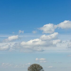 Warten auf den Frühling