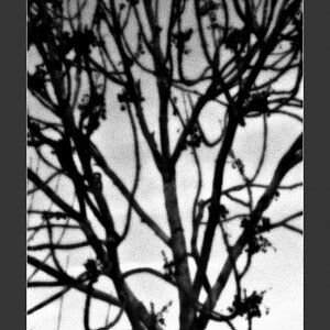 DSCF0869 WEB