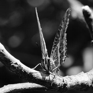 DSC 0780 web