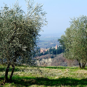 Abbazia Olivieto