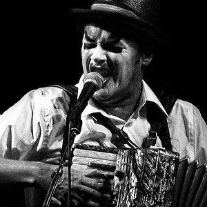 tiger lillies 2