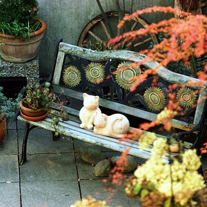 Scan 100212 0004 01
