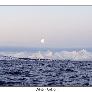 Winter Lofoten
