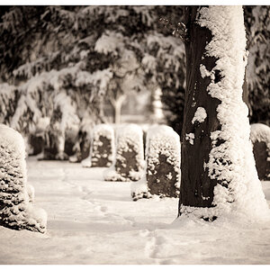 20100103  DSC5117