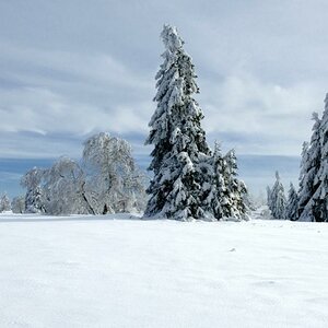 Der Kahle Asten ist ein 841,9 m hoher Berg im Rothaargebirge im Hochsauerlandkreis