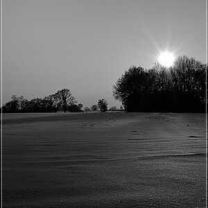 DSC8552 nff