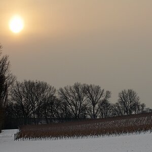 DSC0241 hsw