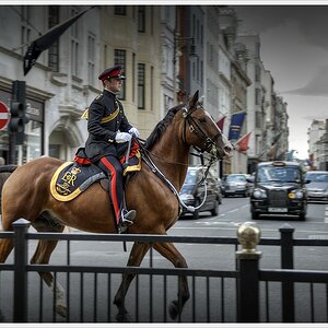 DSC7774 nff col