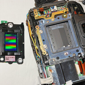 D80: Sensor ausgebaut