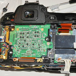 D80 mit Wasserschaden wird zerlegt - das Rückteil mit dem Monitor und das Digital-Mainboard fehlen bereits.