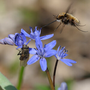 20100324 161209 D3N 7870 copy