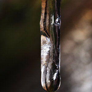 Eiszapfen, ca. 2-3 cm lang