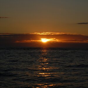 Sunset
Coromandel, Neuseeland
ISO 200 - 55mm - F32 - 1/60s