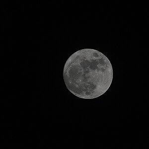 Vollmond