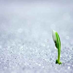 Erster (1)