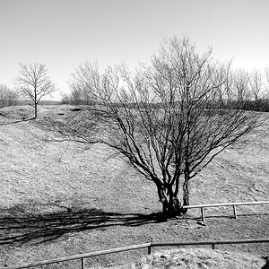 Walberla/Franken
Wintersonne