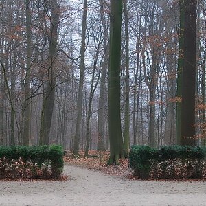 DSC 2010 1
