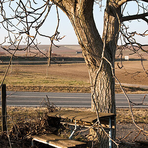 200812302200 428x640 - Eine alte Schulbank rostet unter einem Baum vor sich hin...