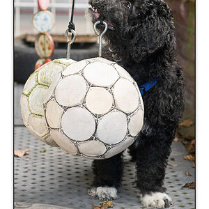 lasseKalender2009 Seite 04