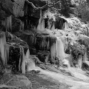 20090101 027 bw