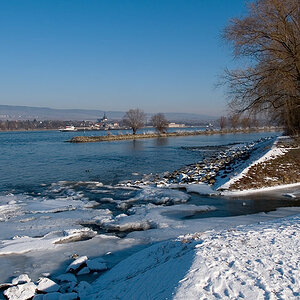 200601297132 - Die Mündung der Selz in den Rhein bei Ingelheim.