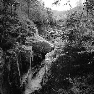20090101 040 bw
