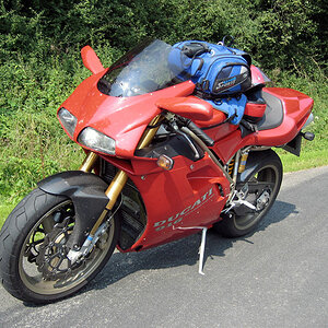 Duc