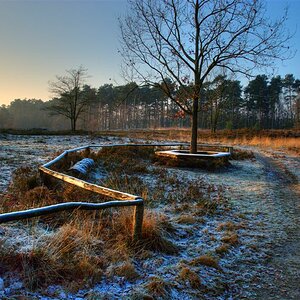 Vareler Heide Dezember 2008 als HDR Foto asu 3 Bildern