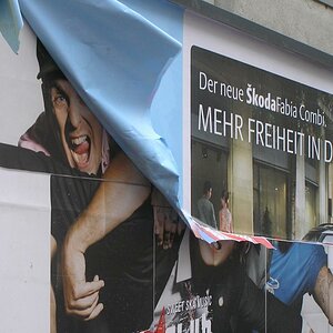 Hey, Fotograf! Verschwinde und lass mich runtersteigen!