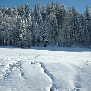 Winterlandschaft