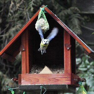 flug4