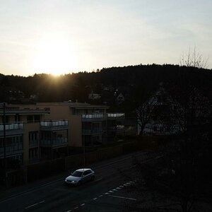 D700 Ggegenlichtaufnahme