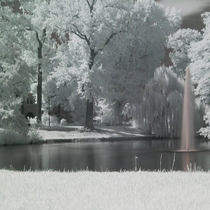 Teich