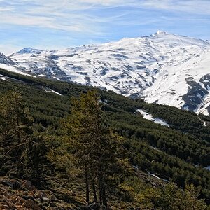 Sierra Nevada