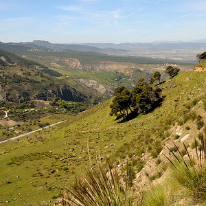 Sierra Nevada
