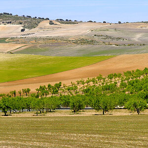 Richtung Almeria