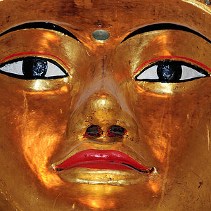 Buddha 8731