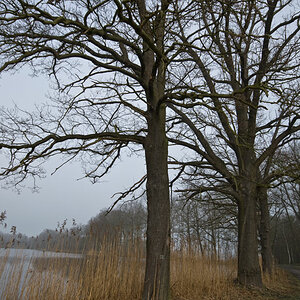 2010-03-30 DSC2412 Teich 1
Sigma 10-20; 13mm; 1/100; f10; ISO 100