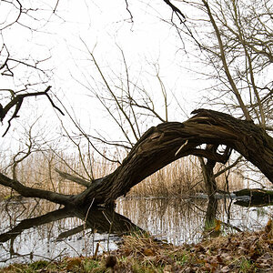 2010-03-30 DSC2366 Teich 3
Sigma 10-20; 13 mm; 1/80; f 5,6; ISO 100