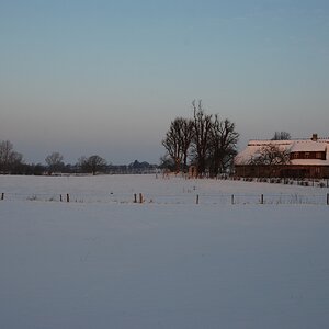 DSC 0193