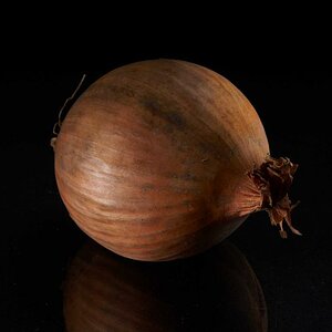 Zwiebel
