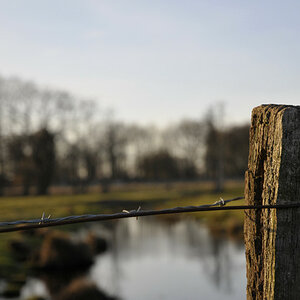 Zaunblick
