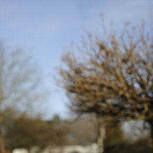 DSC3331 NF-F
Bokeh bei Fokusdistanz 2m, Blende 2.8 und Brennweite 70mm